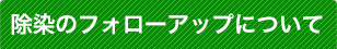 除染のフォローアップについて