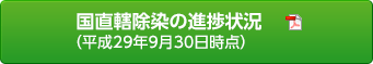国が実施する除染の状況