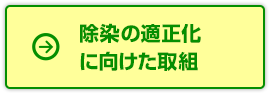 除染の適正化に向けた取組